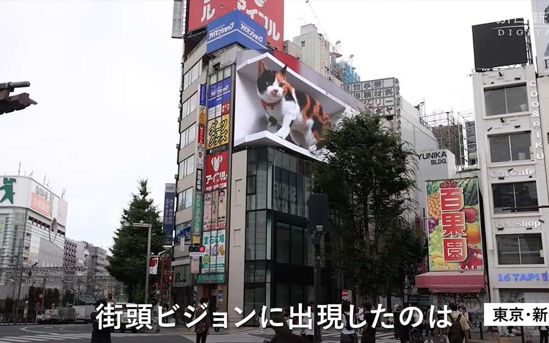 Un gatto gigante 3d è apparso a Shinjuku!